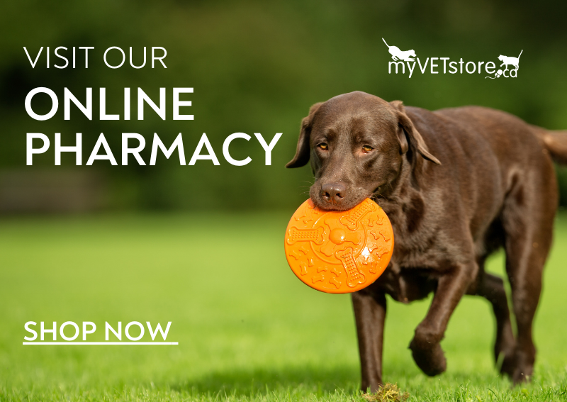 Carousel Slide 2: Shop Our Online Pharmacy